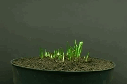 В каких случаях необходимо проводить оценку воздействия на окружающую среду (ОВОС) для котельных